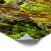 Mosses Poster (Ecke)