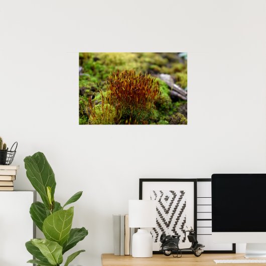 Mosses Poster (Heimbüro)