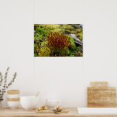 Mosses Poster (Küche)