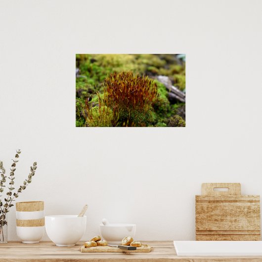 Mosses Poster (Küche)