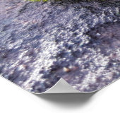 Mosses Poster (Ecke)