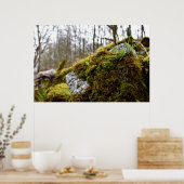 Mosses Poster (Küche)