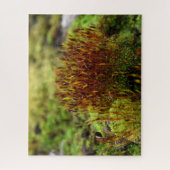 Mosses Puzzle (Vertikal)