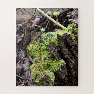 Mosses Puzzle