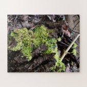Mosses Puzzle (Horizontal)