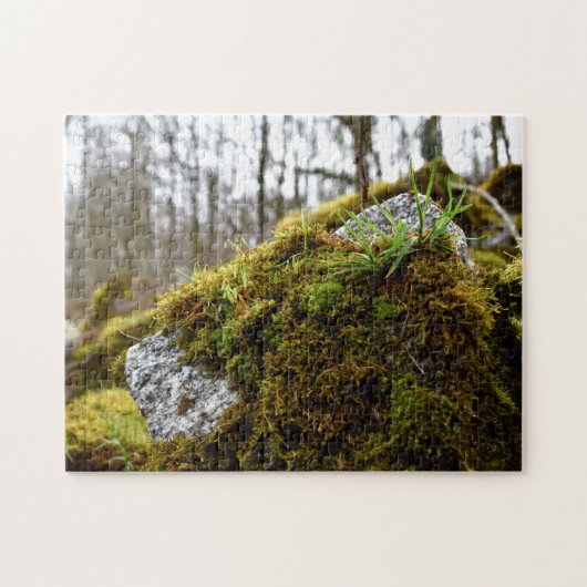 Mosses Puzzle (Horizontal)