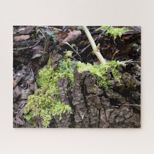 Mosses Puzzle (Horizontal)