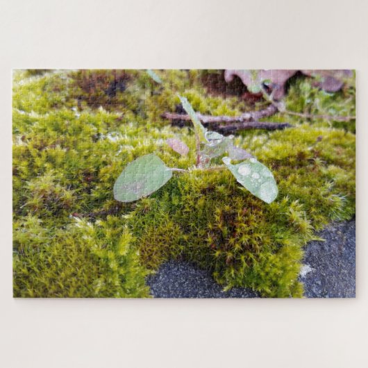 Mosses Puzzle (Horizontal)