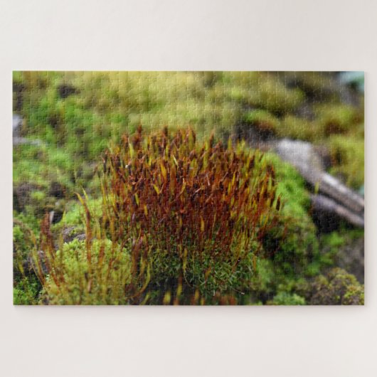 Mosses Puzzle (Horizontal)