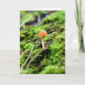 Mosses und Lichens mit winzigen Mushroom Karte (Vorderseite)