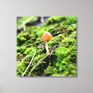 Mosses und Lichens mit winzigen Mushroom Leinwanddruck
