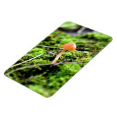 Mosses und Lichens mit winzigen Mushroom Magnet (Linke Seite)