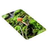Mosses und Lichens mit winzigen Mushroom Magnet (Rechte Seite)