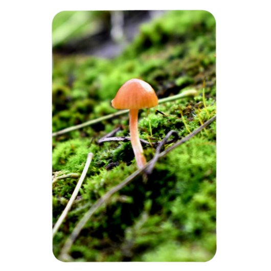 Mosses und Lichens mit winzigen Mushroom Magnet (Vertikal)