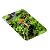 Mosses und Lichens mit winzigen Mushroom Magnet (Rechte Seite)