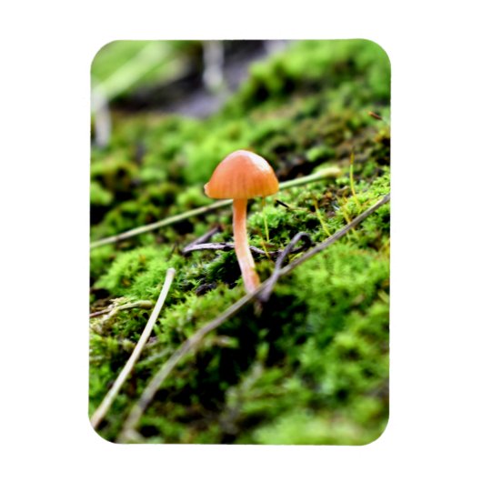 Mosses und Lichens mit winzigen Mushroom Magnet (Vertikal)