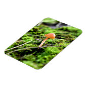 Mosses und Lichens mit winzigen Mushroom Magnet (Linke Seite)