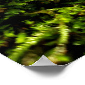 Mosses und Lichens mit winzigen Mushroom Poster (Ecke)