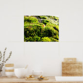 Mosses und Lichens mit winzigen Mushroom Poster (Küche)