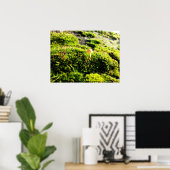 Mosses und Lichens mit winzigen Mushroom Poster (Heimbüro)