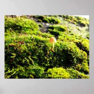 Mosses und Lichens mit winzigen Mushroom Poster