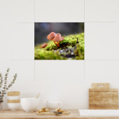 Mosses und Lichens mit winzigen Mushroom Poster (Küche)