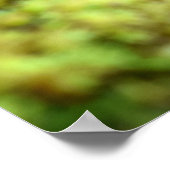 Mosses und Lichens mit winzigen Mushroom Poster (Ecke)