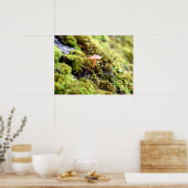 Mosses und Lichens mit winzigen Mushroom Poster (Küche)