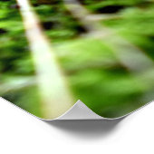 Mosses und Lichens mit winzigen Mushroom Poster (Ecke)