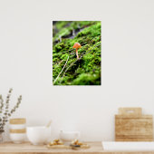 Mosses und Lichens mit winzigen Mushroom Poster (Küche)