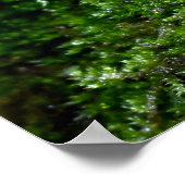 Mosses und Lichens mit winzigen Mushroom Poster (Ecke)