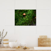 Mosses und Lichens mit winzigen Mushroom Poster (Küche)