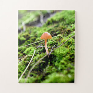 Mosses und Lichens mit winzigen Mushroom Puzzle