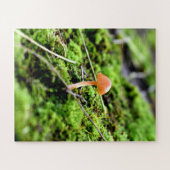 Mosses und Lichens mit winzigen Mushroom Puzzle (Horizontal)