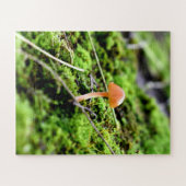 Mosses und Lichens mit winzigen Mushroom Puzzle (Horizontal)