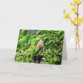 Mosses und Lichens mit winzigen Pilzen Karte (Gelbe Blume)