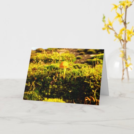 Mosses und Lichens mit winzigen Pilzen Karte (Gelbe Blume)