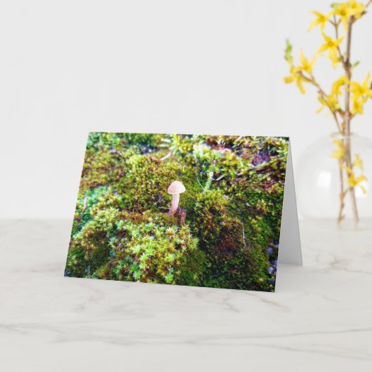 Mosses und Lichens mit winzigen Pilzen Karte (Gelbe Blume)