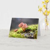 Mosses und Lichens mit winzigen Pilzen Karte (Gelbe Blume)