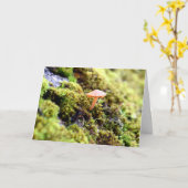 Mosses und Lichens mit winzigen Pilzen Karte (Gelbe Blume)