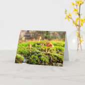 Mosses und Lichens mit winzigen Pilzen Karte (Gelbe Blume)