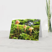 Mosses und Lichens mit winzigen Pilzen Karte (Vorderseite)
