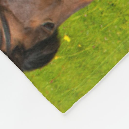 Mossfellsbaer Islandpferd Fleecedecke (Ecke)