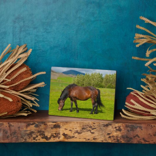 Mossfellsbaer Islandpferd Fotoplatte (Seite)