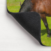 Mossfellsbaer Islandpferd Mousepad (Ecke)