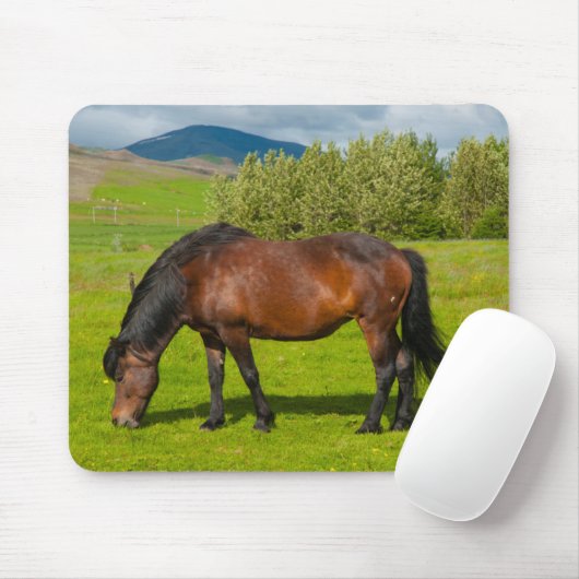 Mossfellsbaer Islandpferd Mousepad (Mit Mouse)