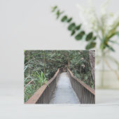 Mossman Gorge - Queensland Australien Postkarte (Stehend Vorderseite)