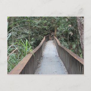 Mossman Gorge - Queensland Australien Postkarte