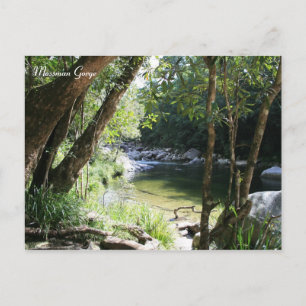 Mossman Gorge, Queensland - Postkarte