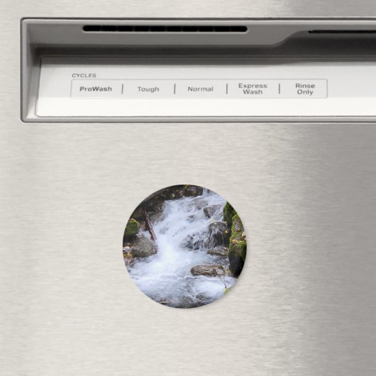 Mossy Autumn Stream Magnet (In Situ (Geschirrspüler))